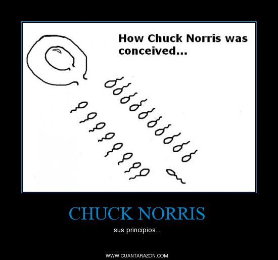 chuck.jpg